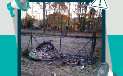 Demontēts laukums L. Dzelzceļa ielas un Pūpola ielas krustojumā